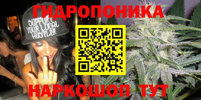 шишки Ликино-Дулёво
