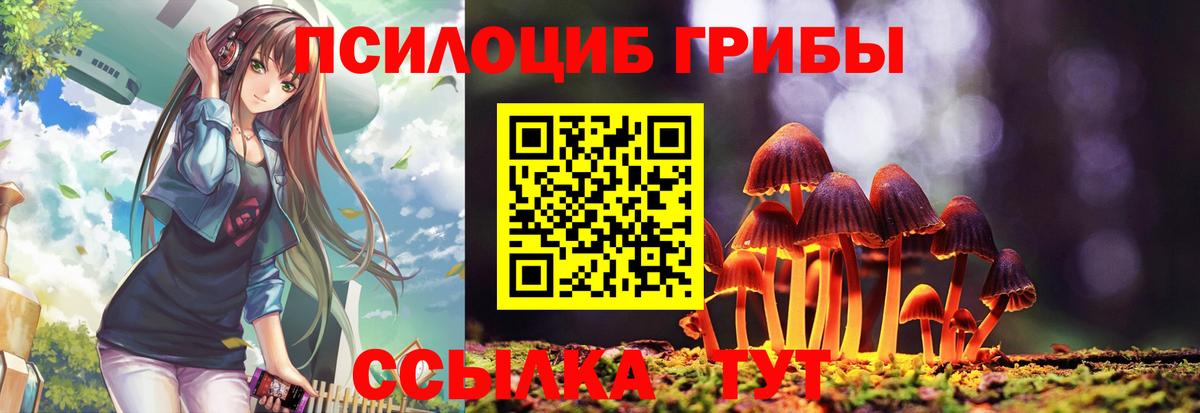 Псилоцибиновые грибы ЛСД  наркотики  Галлюциногенные грибы Cubensis  Урюпинск  Вход с VPN 